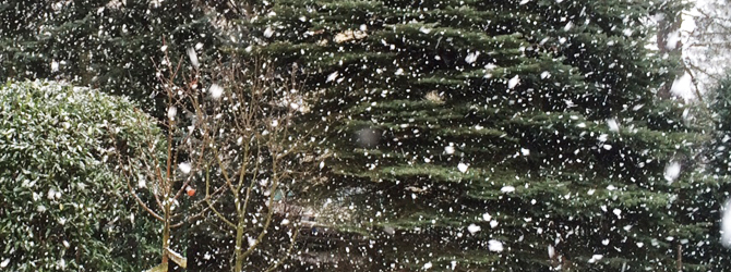 Winterstimmung Winterstimmung